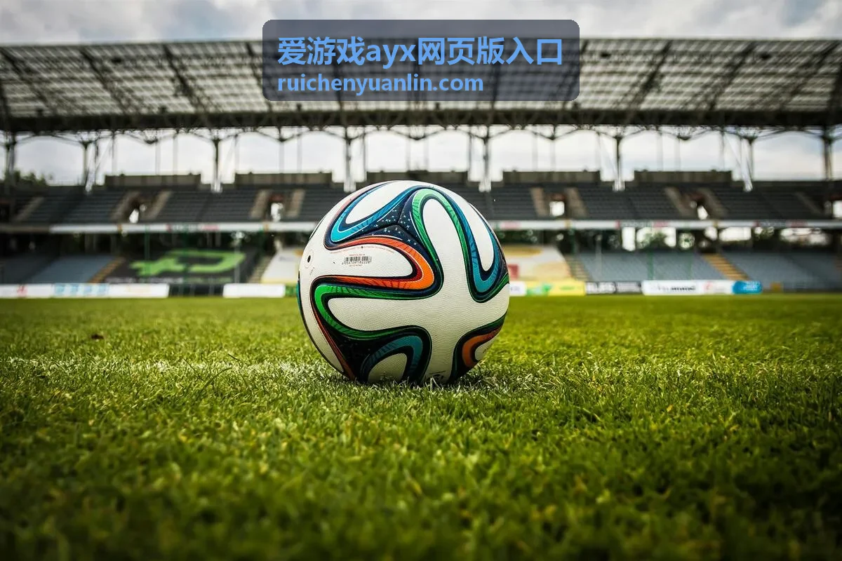 爱游戏ayx网页版入口登录信息填写页面示意